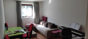 Belgrade downtown studio